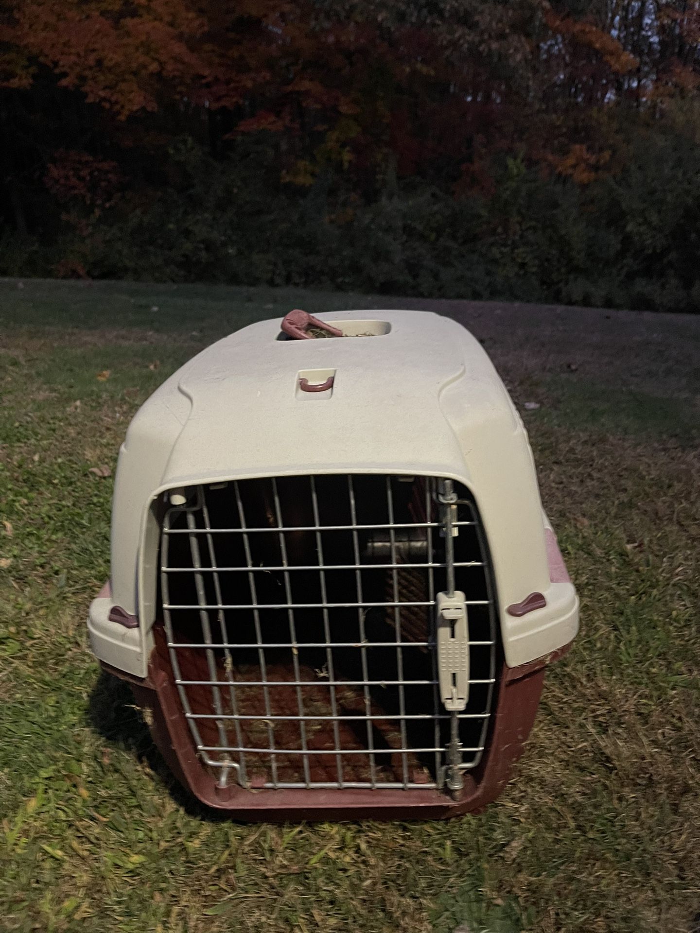 Animal Traveling Cage.
