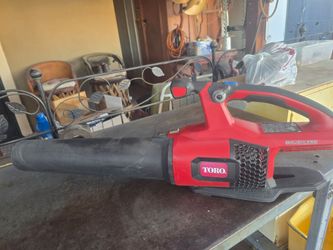 Leaf Blower cordless