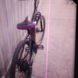 Electric Bike 