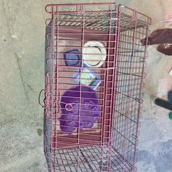 Guinea Pig Hideout And Feeder Both Together And Houses All Together 