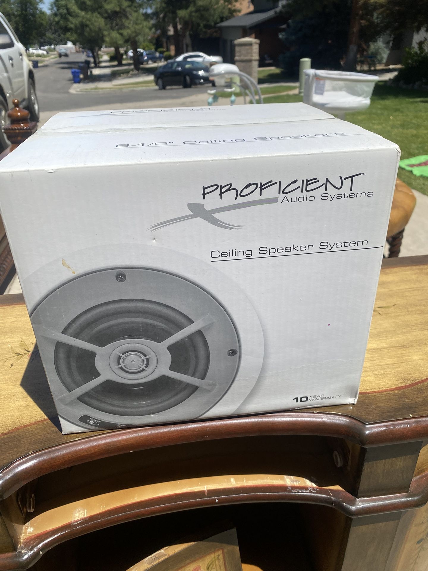 Ceiling Speaker System