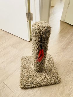 Cat Scratcher