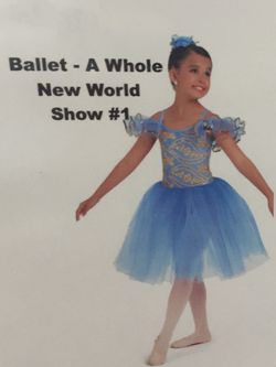 Cinderella ballet dance costume outfit blue