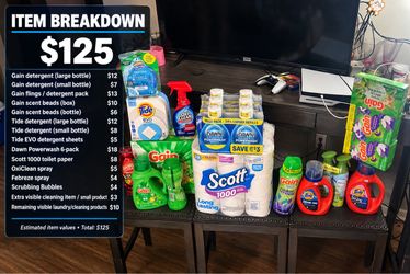 Household Cleaning & Laundry Bundle Lot