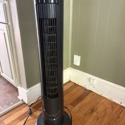 Fan 