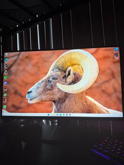 Msi monitor 300hz