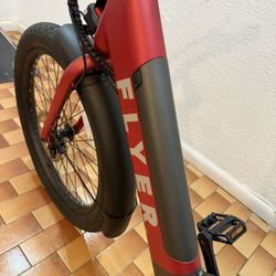 FLYER Electric Bike 