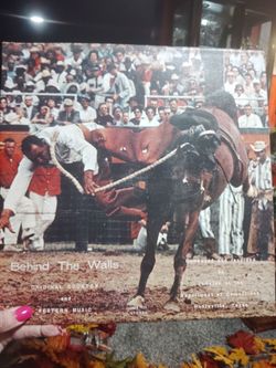 Behind The Walls Vinyl LP Record
