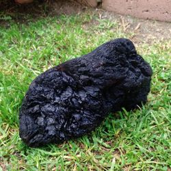 Natural Driftwood For Aquariums Terrariums Decor Etc 