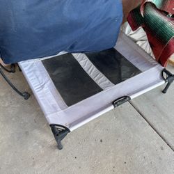 dog chair