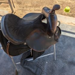 15 In saddle 