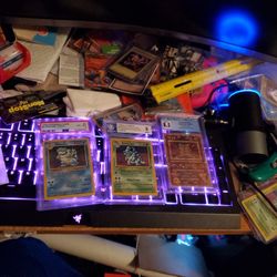 Graded Pokemon Card Collection