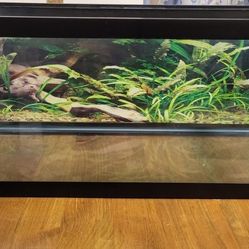 20 Gallon Aquarium Tank