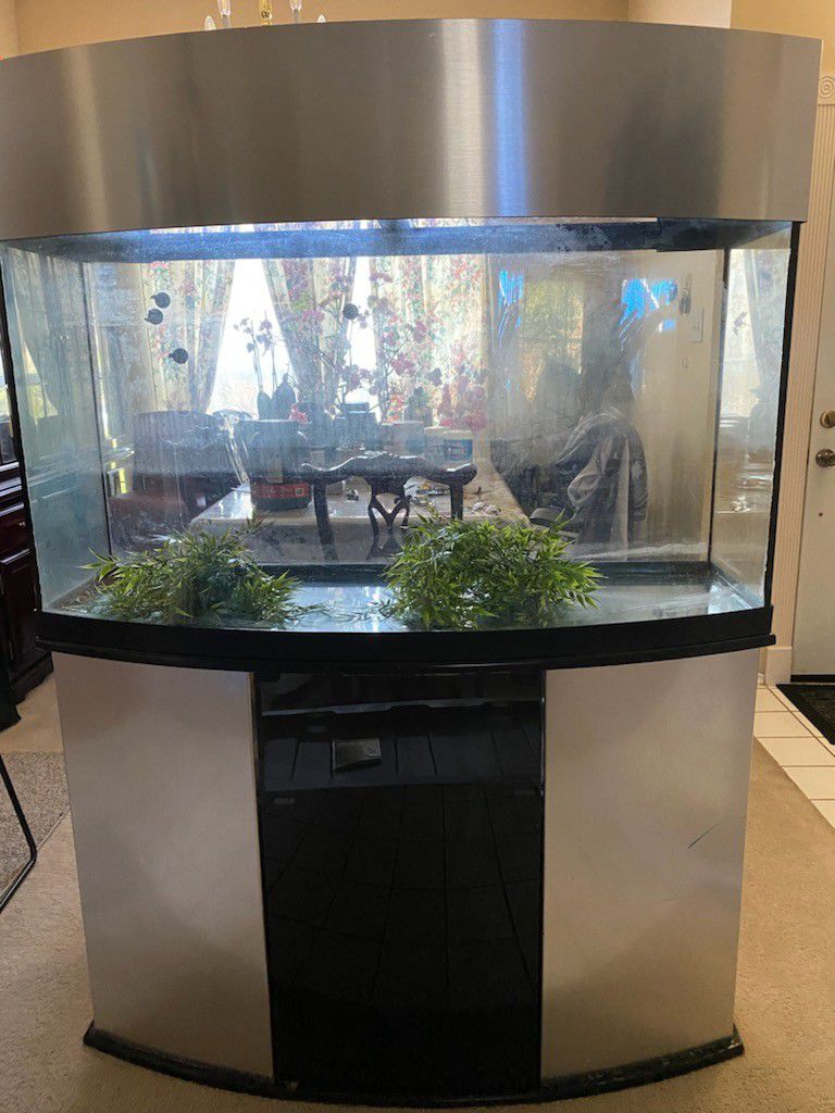 Nice Aquarium 72 gallon cheap