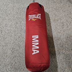 Everlast Punching Bag.