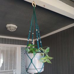 Macrame Plant Hanger