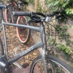 Giant Escape XL bike