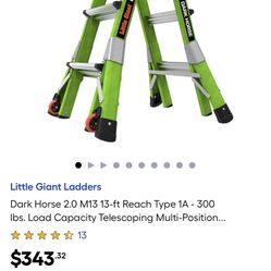 Brand New Dark Horse $$$$250