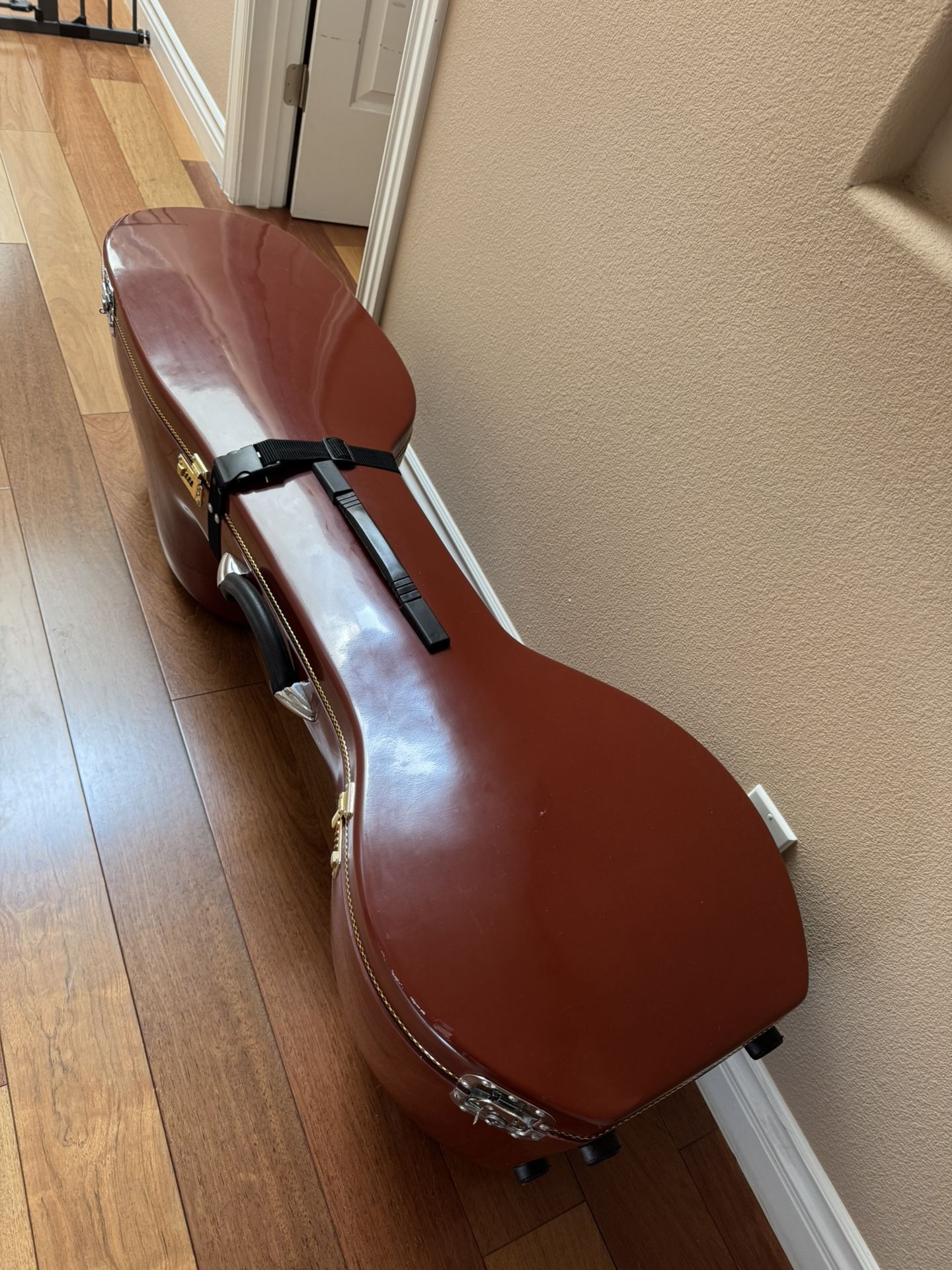 Saraswathy Veena Case