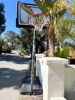 Basketball hoop FREE
