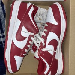 Dunks Size 10