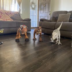 Jumbo Dinosaurs 