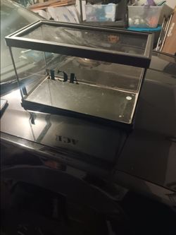Small Glass Terrarium Tank with Lid