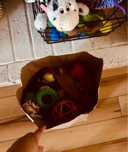 Free Pet Toys
