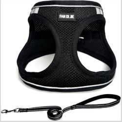 XS Harness and Leash