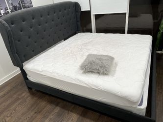 Designer Bed 