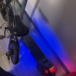 Electric Scooters