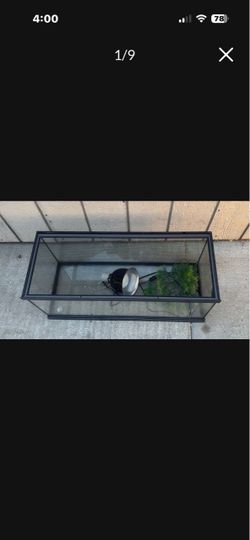 Glass terrarium