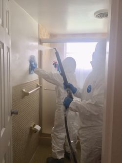 Steam sanitize