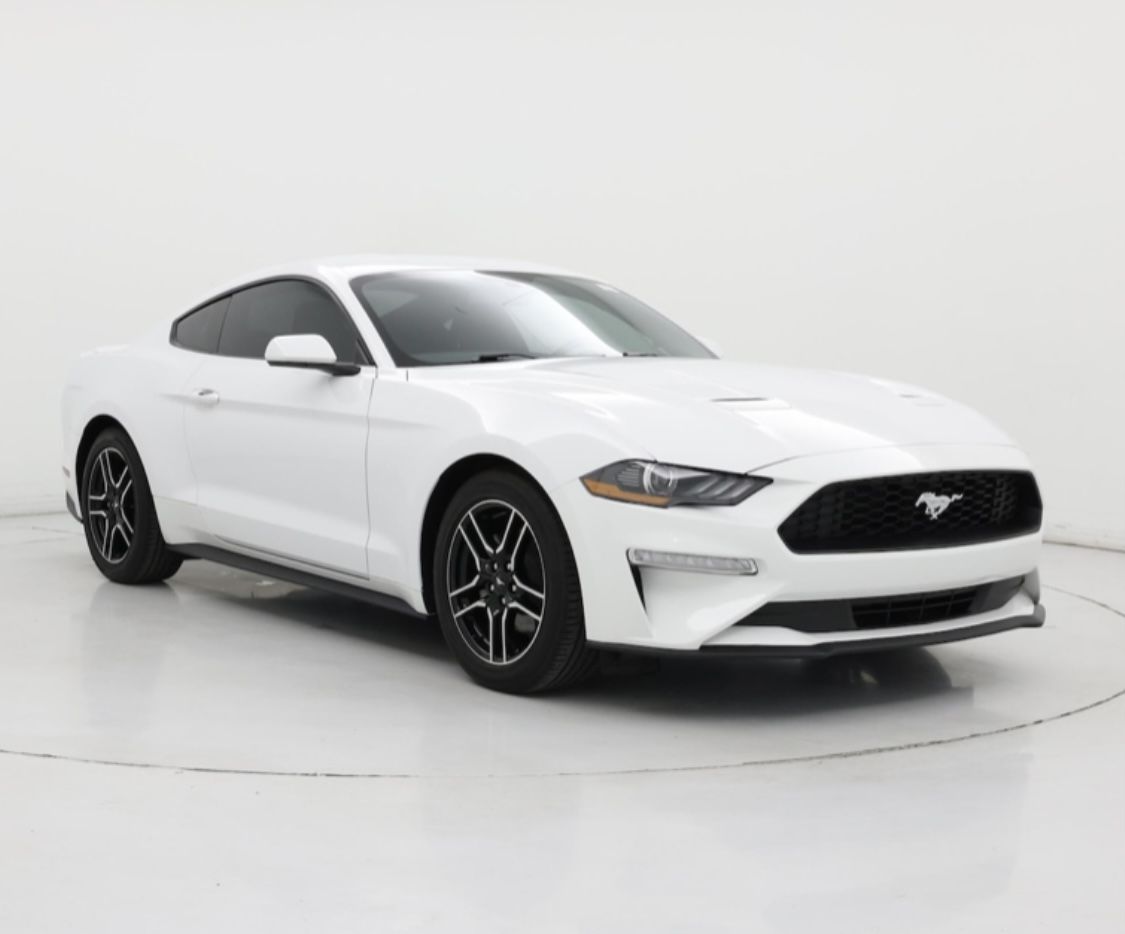 2019 Ford Mustang