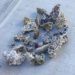 Aquarium Fish Rocks 