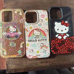 Hello Kitty Case