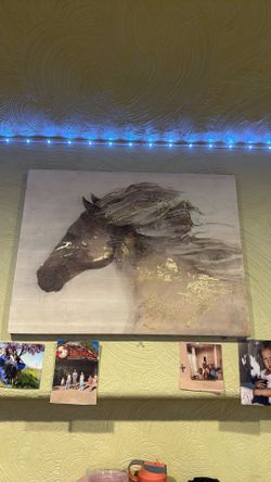 Horse Wall Canvas