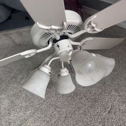 Ceiling Fan