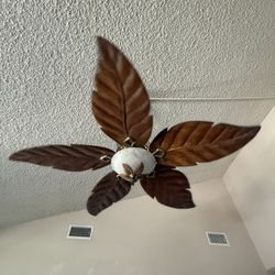 Ceiling Fans 