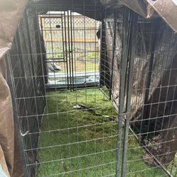 8x4 Dog Kennel With Damaged Roof