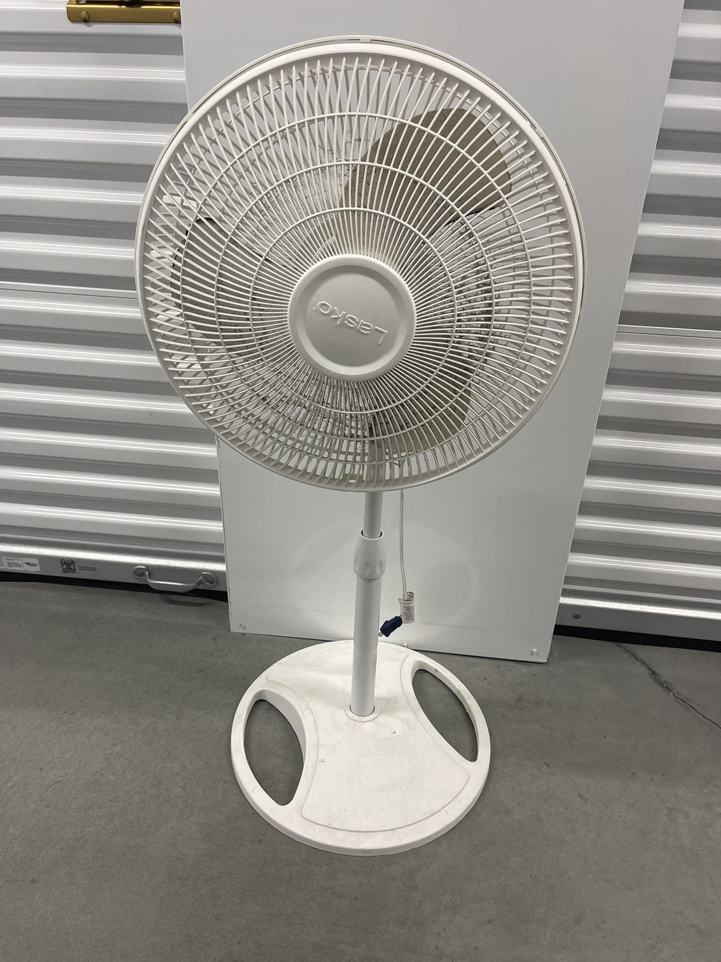 Fan