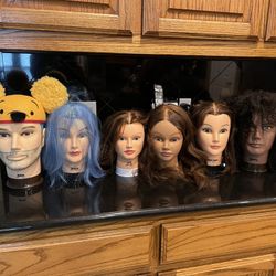 Cosmetology mannequin heads – – set of six