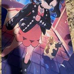 Pokémon Playmat And Figurines