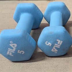 5 Lb Dumbbell Pair
