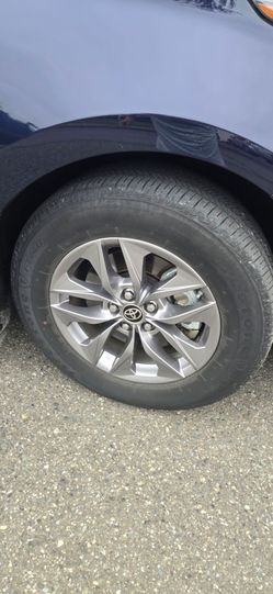 Two Firestone tires