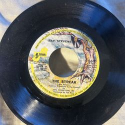 Ray Steven’s 45RPM.  The Streak