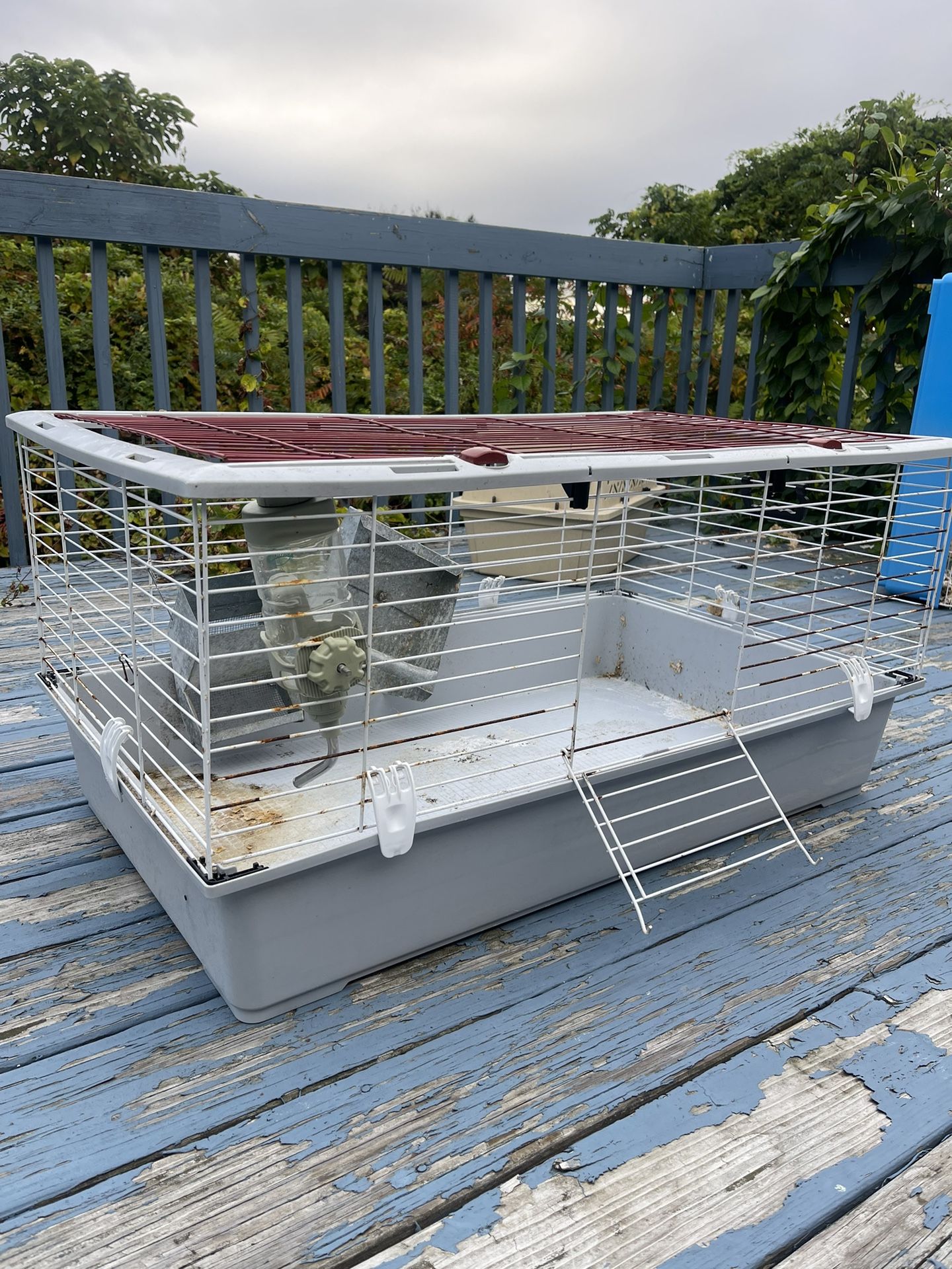 Rabbit Gage Just Need TLC