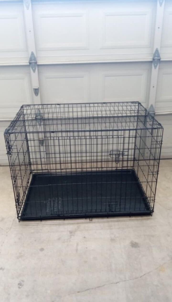 Dog Crate 