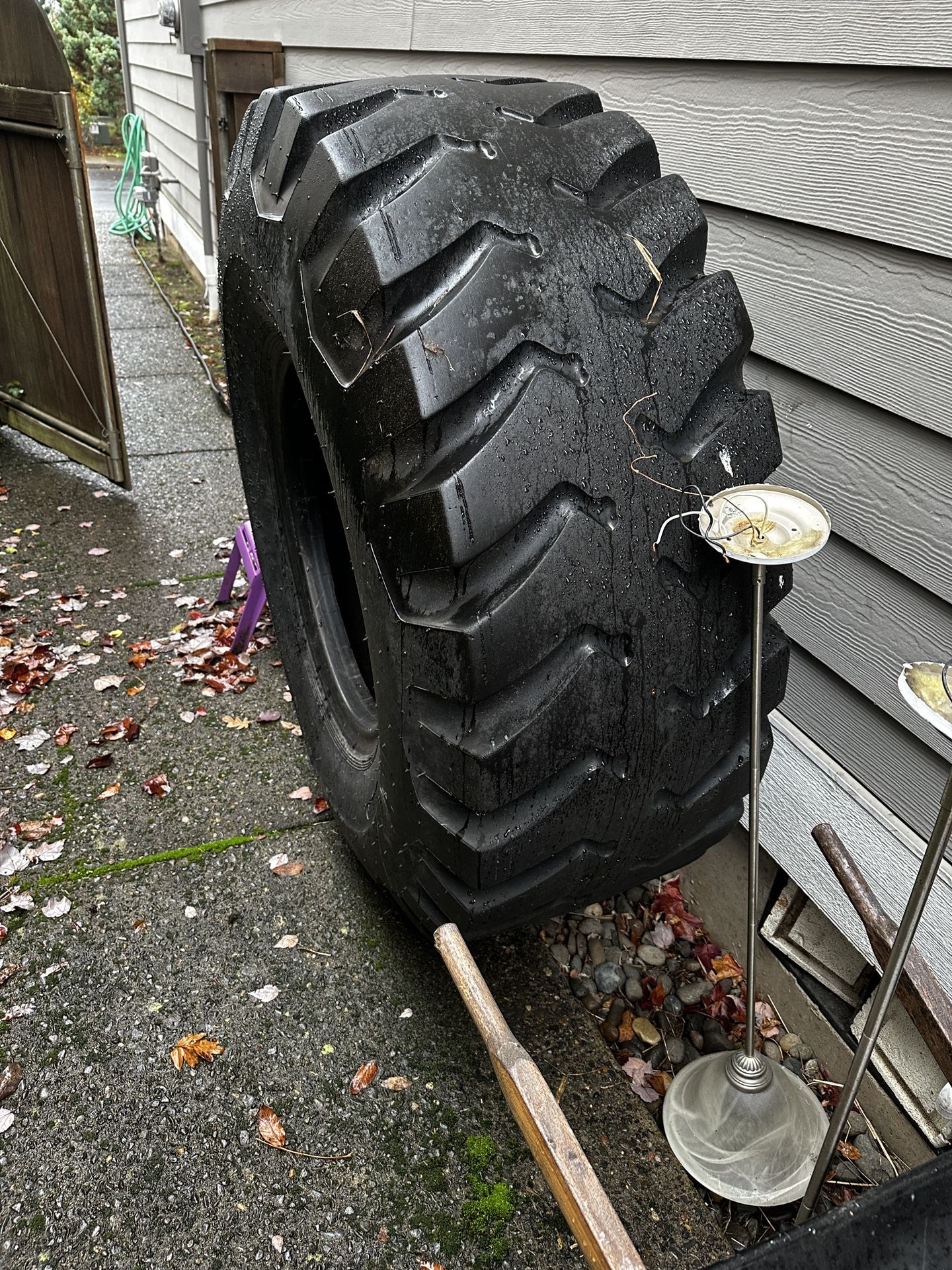 FREE!!! Pick Up Sunday And Monday 