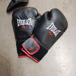 Everlast Boxing Gloves